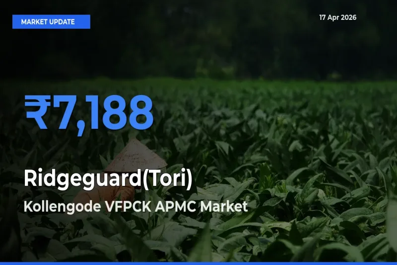Kollengode VFPCK APMC Tops Ridgeguard(Tori) Rates – April 17 Market Update