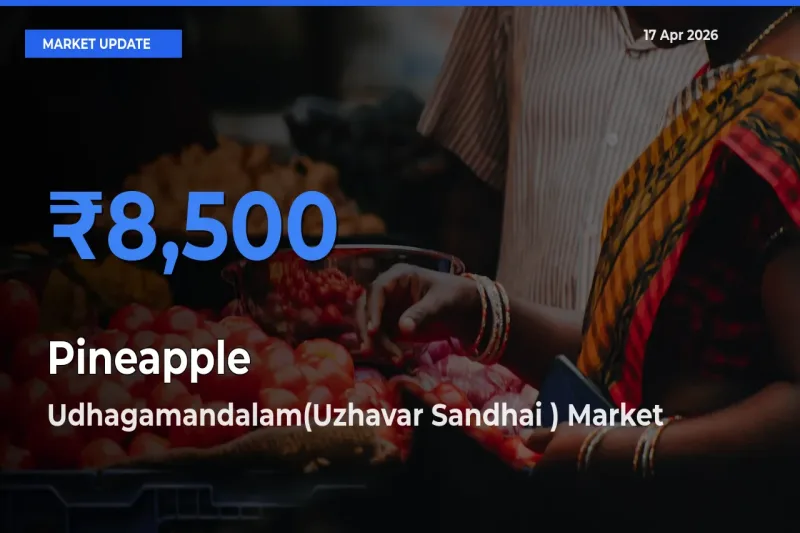 Udhagamandalam(Uzhavar Sandhai ) Tops Pineapple Rates – April 17 Market Update