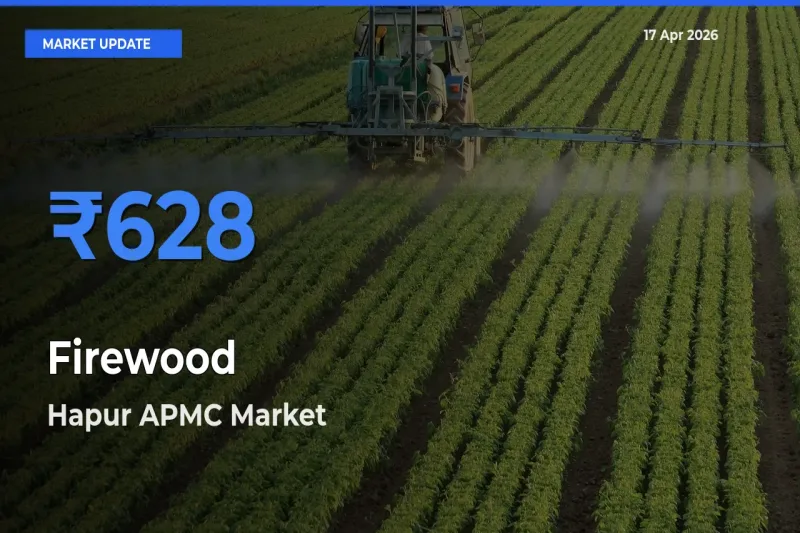 Farmers Prefer Hapur APMC as Firewood Hits Highest Rate
