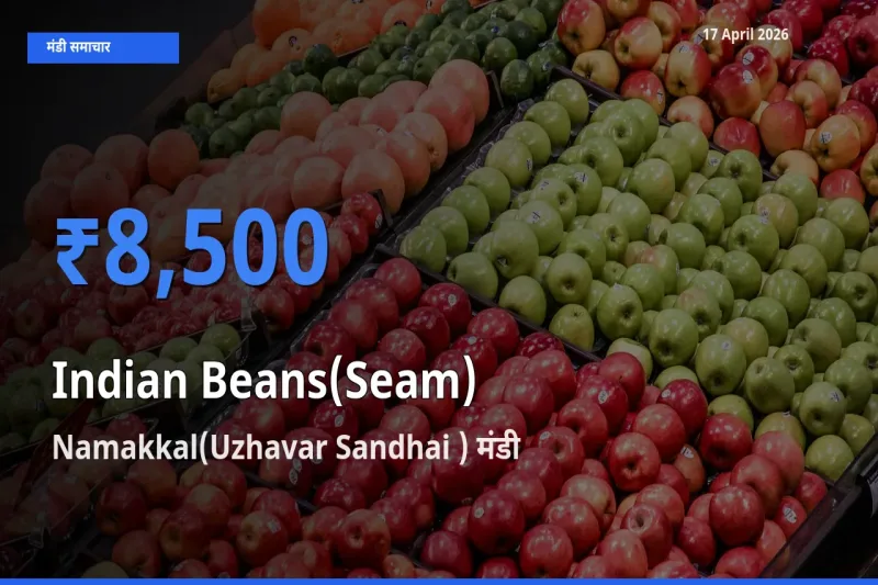 आज सेम (देशी) के सबसे ज़्यादा दाम Namakkal(Uzhavar Sandhai ) मंडी में दर्ज