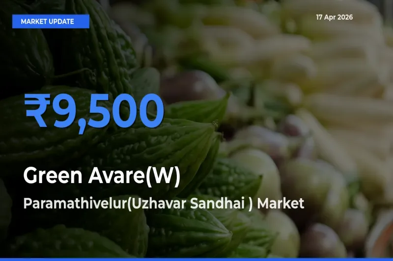 Paramathivelur(Uzhavar Sandhai ) Tops Green Avare(W) Mandi Rates Today