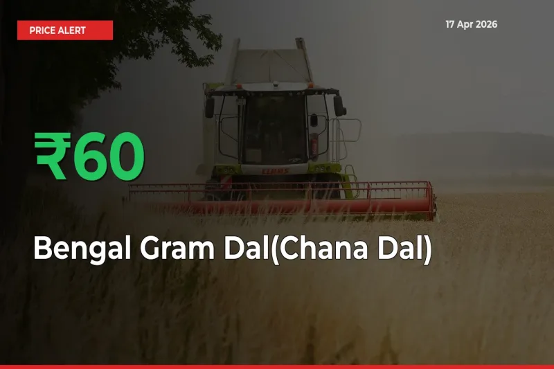 59.85% Spike in Bengal Gram Dal(Chana Dal) Prices – Mandi Sees Sudden Rally