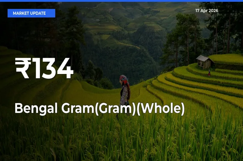 Bengal Gram(Gram)(Whole) Mandi Trend Today: Prices Shift Across Multiple Markets