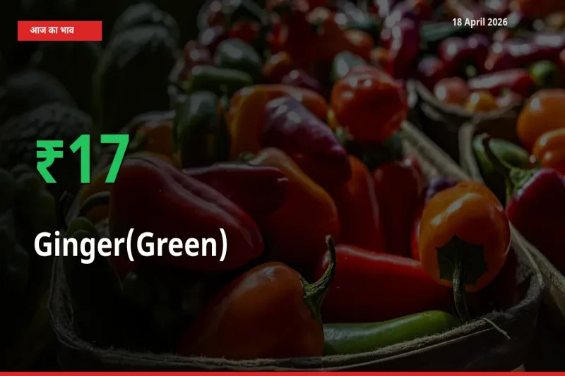 किसानों के लिए खुशखबरी! स्थानीय मंडी में अदरक (हरा) 16.97% उछला