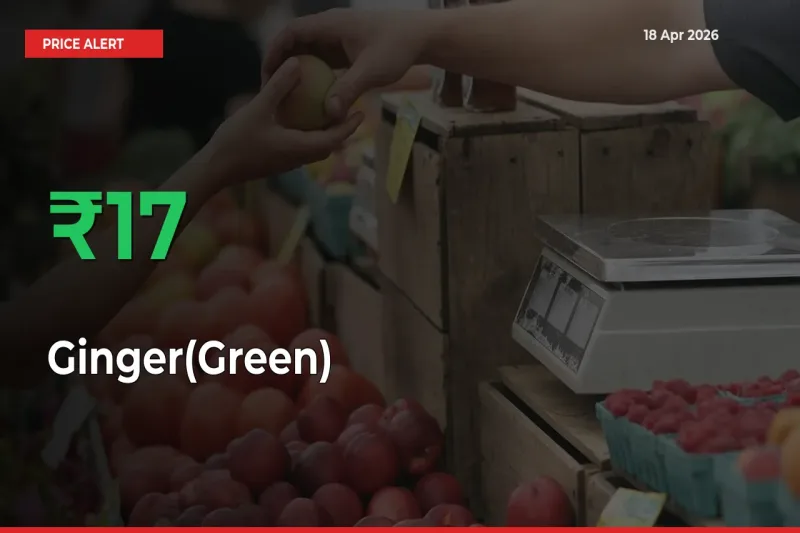 Ginger(Green) Mandi Rate Today: Prices Jump 16.97% at Market
