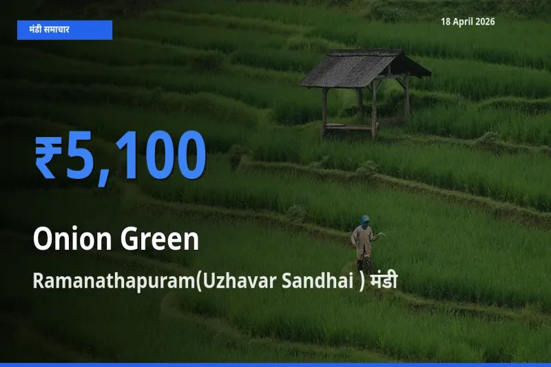 किसानों की पसंद बना Ramanathapuram(Uzhavar Sandhai ), प्याज हरा के सबसे अच्छे दाम