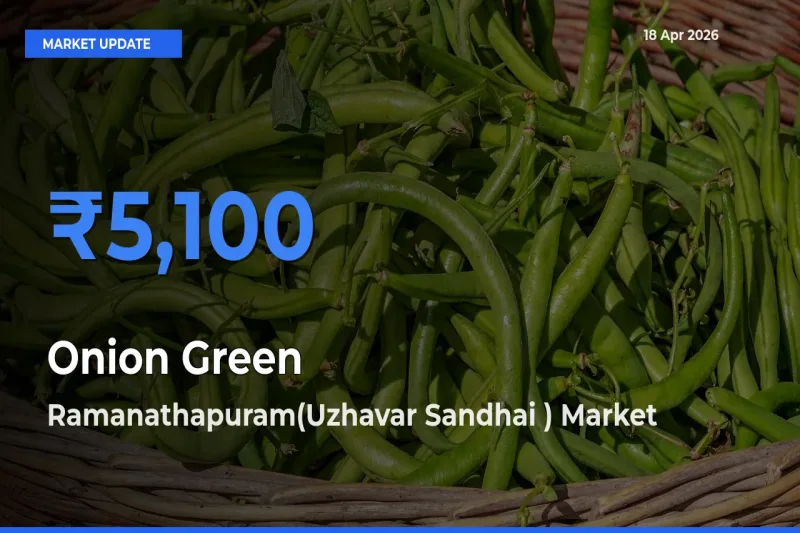 Ramanathapuram(Uzhavar Sandhai ) Leads as Top Mandi for Onion Green Prices
