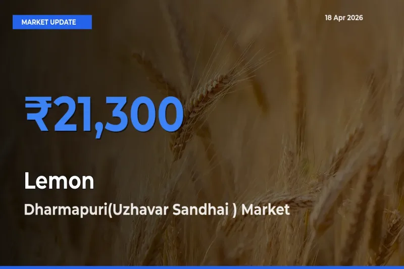 Dharmapuri(Uzhavar Sandhai ) Records Highest ₹21,300 Rate for Lemon