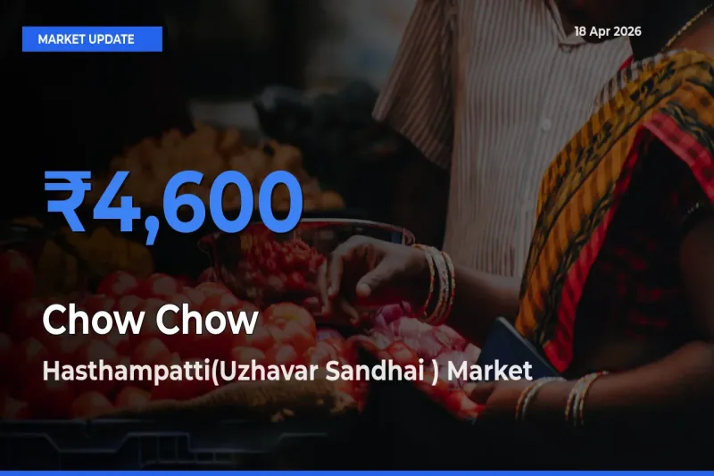Hasthampatti(Uzhavar Sandhai ) Emerges as Top Mandi for Chow Chow Prices Today