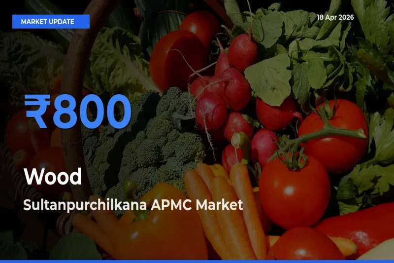 Top Performer! Sultanpurchilkana APMC Offers Best Wood Price Today