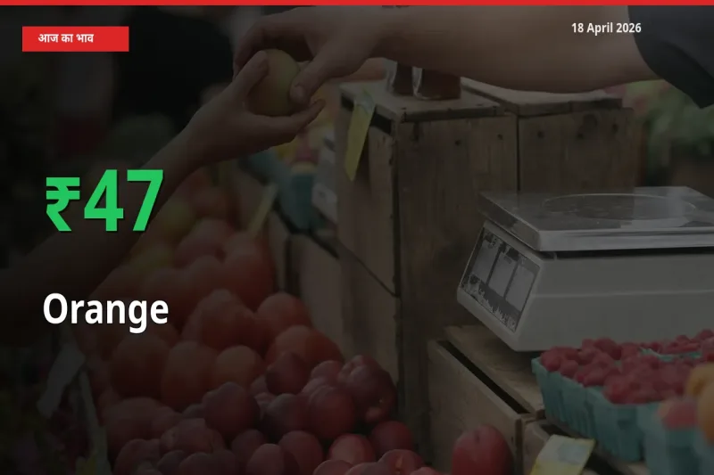 आज का मंडी भाव: संतरा के दाम मंडी में 46.83% ऊपर