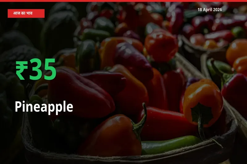 तेज़ तेजी! मंडी में अनानास के दाम 35.37% चढ़े