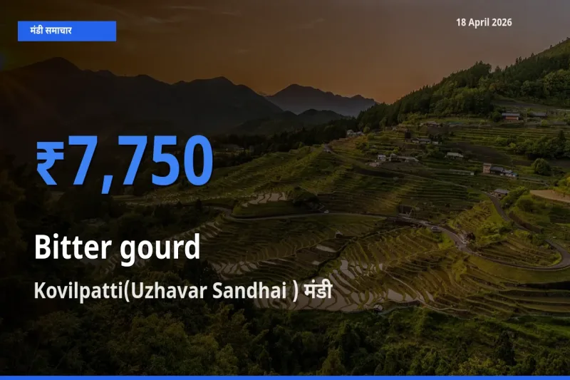 बाज़ार संकेत: Kovilpatti(Uzhavar Sandhai ) बना करेला के लिए आज की टॉप मंडी