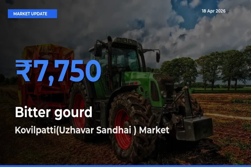 Farmers Prefer Kovilpatti(Uzhavar Sandhai ) as Bitter gourd Hits Highest Rate