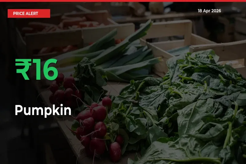 16.33% Spike in Pumpkin Prices – Mandi Sees Sudden Rally