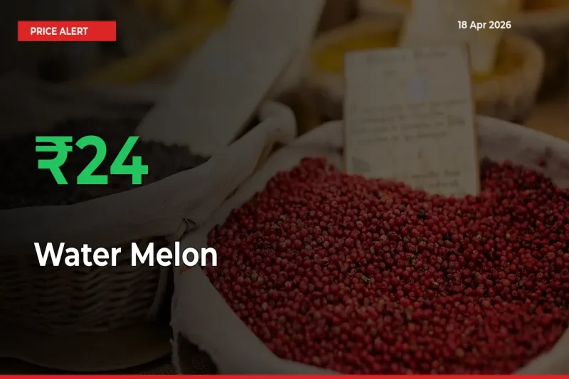 24.34% Spike in Water Melon Prices – Mandi Sees Sudden Rally
