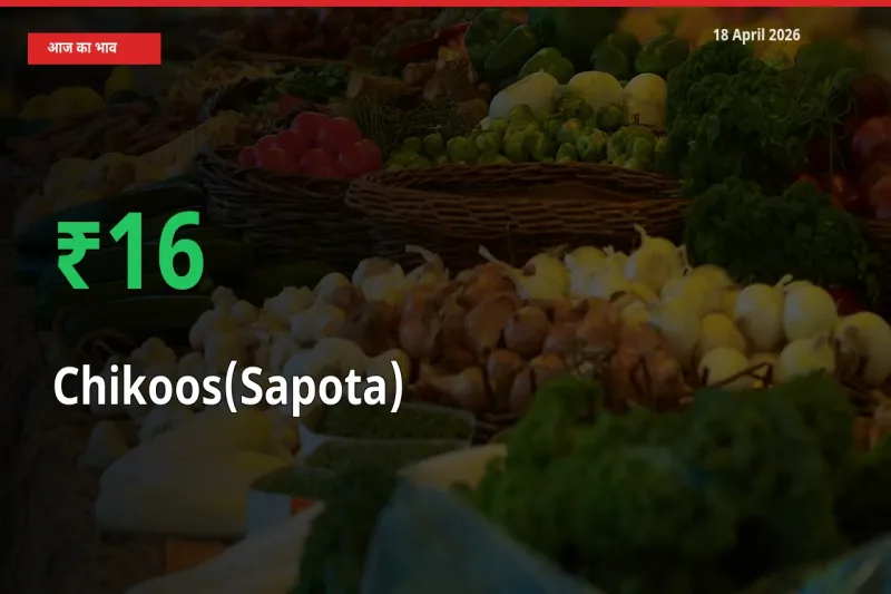 चीकू 16.17% उछला, मंडी