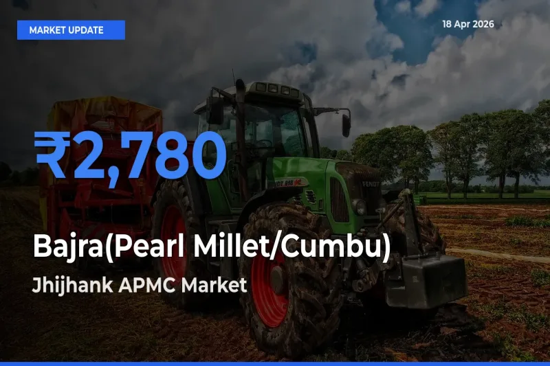 Farmers Prefer Jhijhank APMC as Bajra(Pearl Millet/Cumbu) Hits Highest Rate