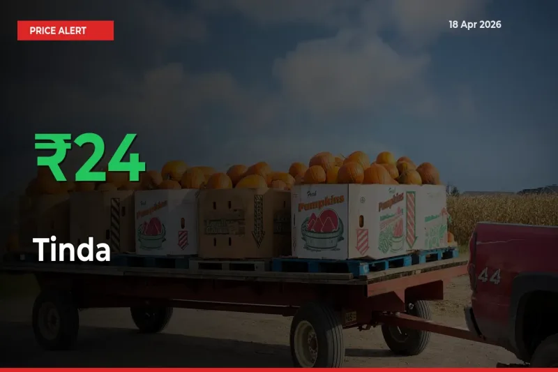 Farmers Cheer as Tinda Prices Surge 23.97% in Local Mandis