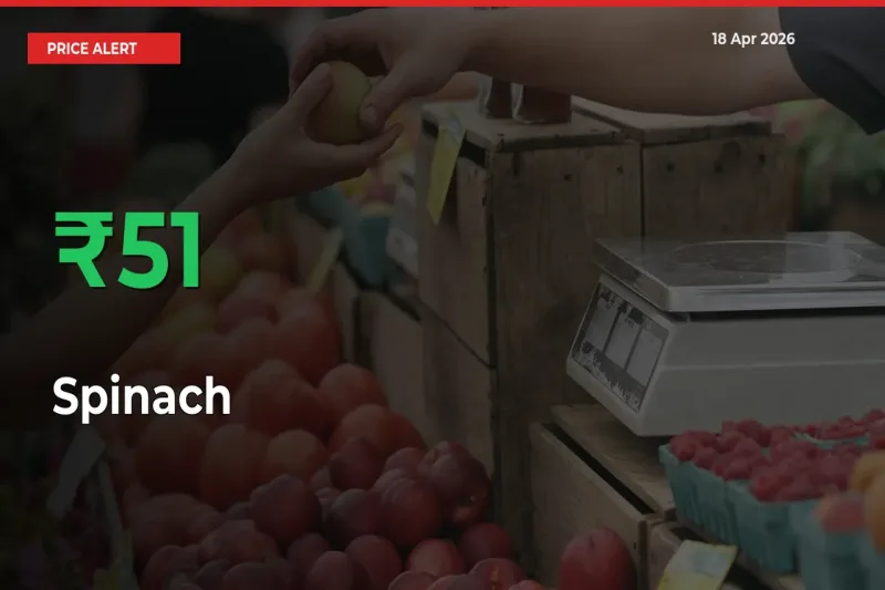 51.46% Spike in Spinach Prices – Mandi Sees Sudden Rally
