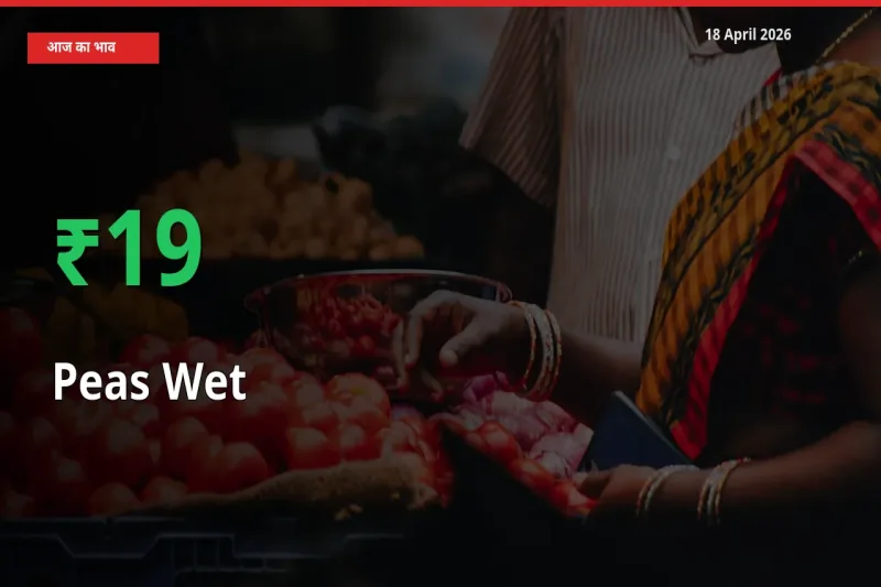हरी मटर के दाम प्रमुख मंडी में 18.71% बढ़े, 24 घंटे में बड़ा बदलाव