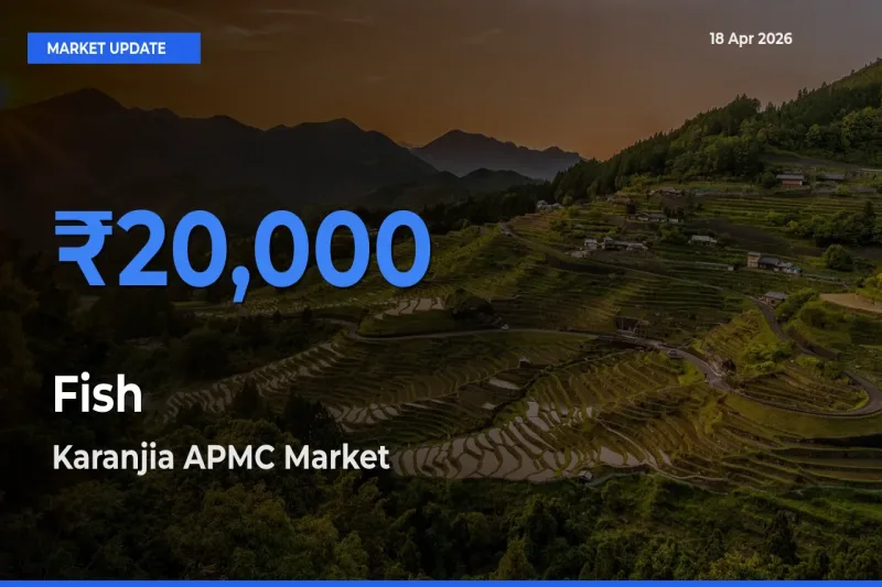 Karanjia APMC Tops Fish Rates – April 18 Market Update