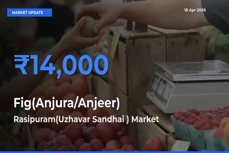 Rasipuram(Uzhavar Sandhai ) Tops Fig(Anjura/Anjeer) Mandi Rates Today