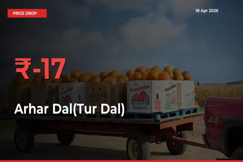 Why Arhar Dal(Tur Dal) Prices Fell 17.01% in a Day at Mandis