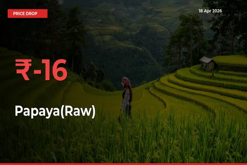 Sudden Shock! Papaya(Raw) Drops 16.45% in 24 Hours at Top Mandis
