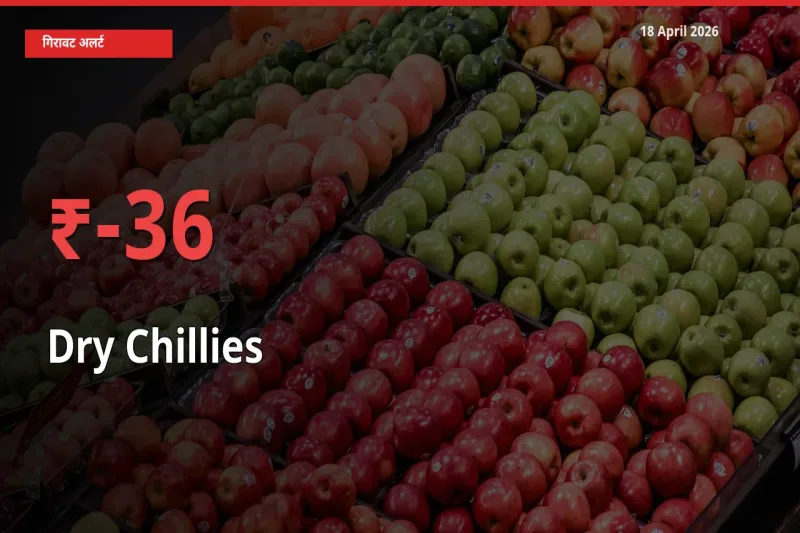 अचानक झटका! मंडी में सूखी लाल मिर्च के दाम 35.5% टूटे