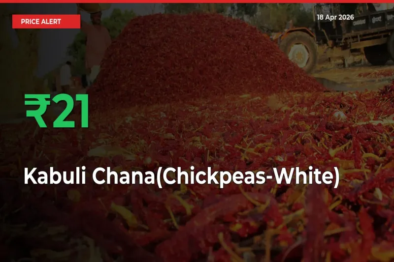 Kabuli Chana(Chickpeas-White) Rises 21.23% at Mandis