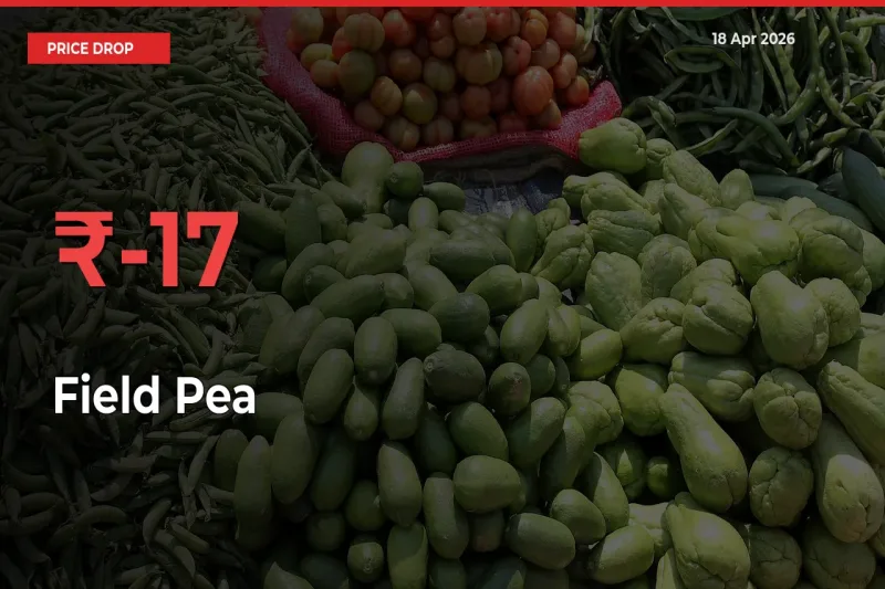 Field Pea Prices Drop 16.56% – April 18 Market Update from Mandis