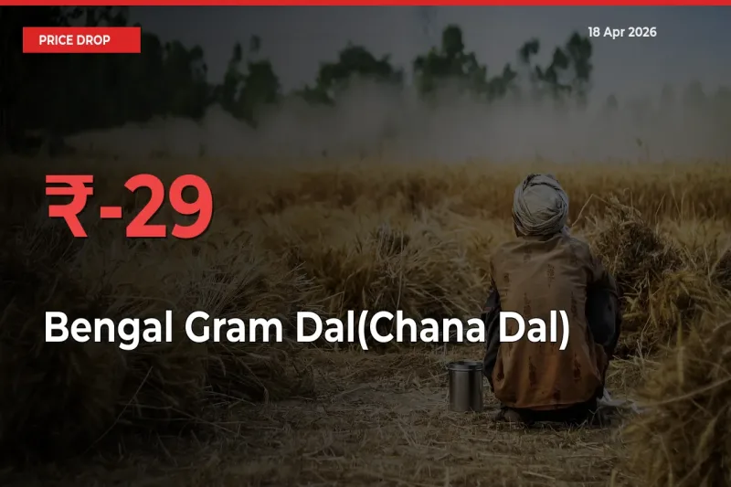 Farmers Alert as Bengal Gram Dal(Chana Dal) Prices Slide 28.5% in Local Mandis