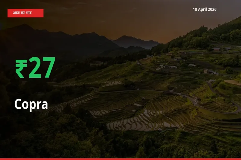 किसानों के लिए खुशखबरी! स्थानीय मंडी में सूखा नारियल 26.79% उछला