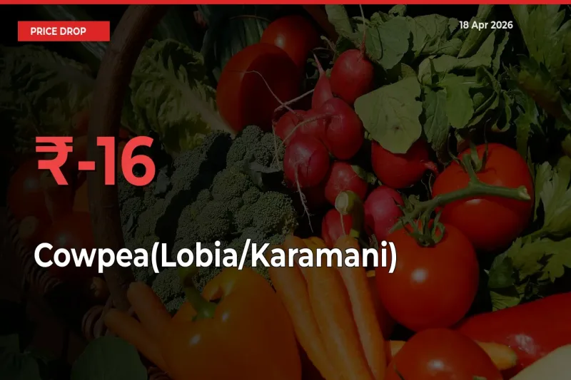 15.53% Drop in Cowpea(Lobia/Karamani) Prices – Mandi Sees Sudden Fall