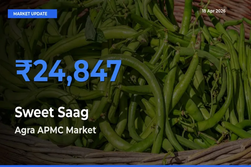 Agra APMC Tops Sweet Saag Rates – April 18 Market Update