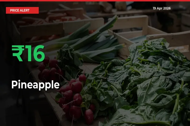 Pineapple Rises 15.97% at Mandis