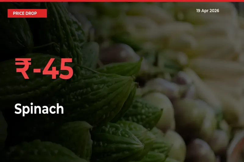 Why Spinach Prices Fell 45.45% in a Day at Mandis