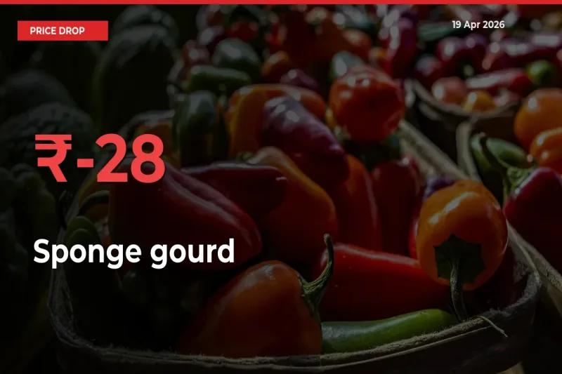 Sponge gourd Falls 27.95% at Mandis