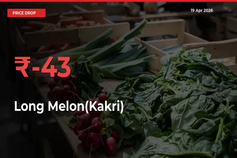 Farmers Alert as Long Melon(Kakri) Prices Slide 43.38% in Local Mandis