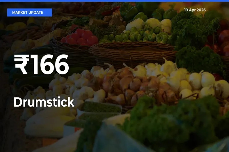 Drumstick Prices Gain Momentum Across 166+ Mandis – Market Trend Strengthens