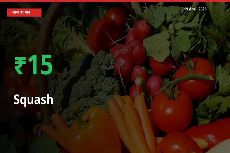 बाज़ार संकेत: कद्दू (कोहड़ा) के भाव मंडी में 15.15% ऊपर