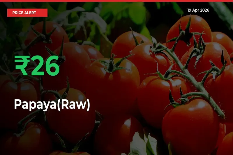 Farmers Cheer as Papaya(Raw) Prices Surge 26.22% in Local Mandis