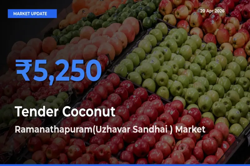 Ramanathapuram(Uzhavar Sandhai ) Tops Tender Coconut Mandi Rates Today