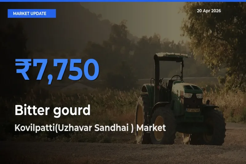 Kovilpatti(Uzhavar Sandhai ) Emerges as Top Mandi for Bitter gourd Prices Today