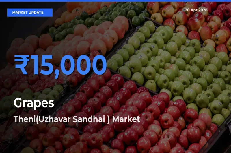 Theni(Uzhavar Sandhai ) Tops Grapes Rates – April 20 Market Update