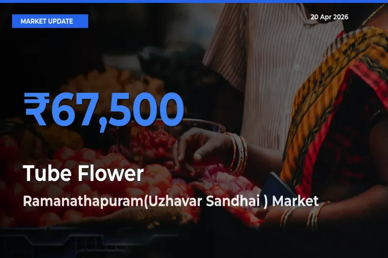 Ramanathapuram(Uzhavar Sandhai ) Leads as Top Mandi for Tube Flower Prices