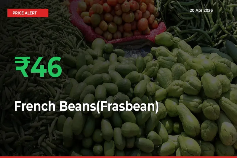 French Beans(Frasbean) Rises 46.06% at Mandis