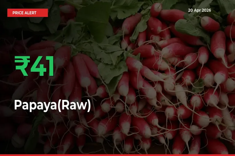 Papaya(Raw) Rises 41.06% at Mandis