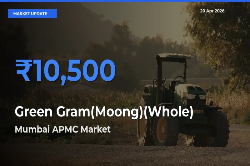Mumbai APMC Leads as Top Mandi for Green Gram(Moong)(Whole) Prices